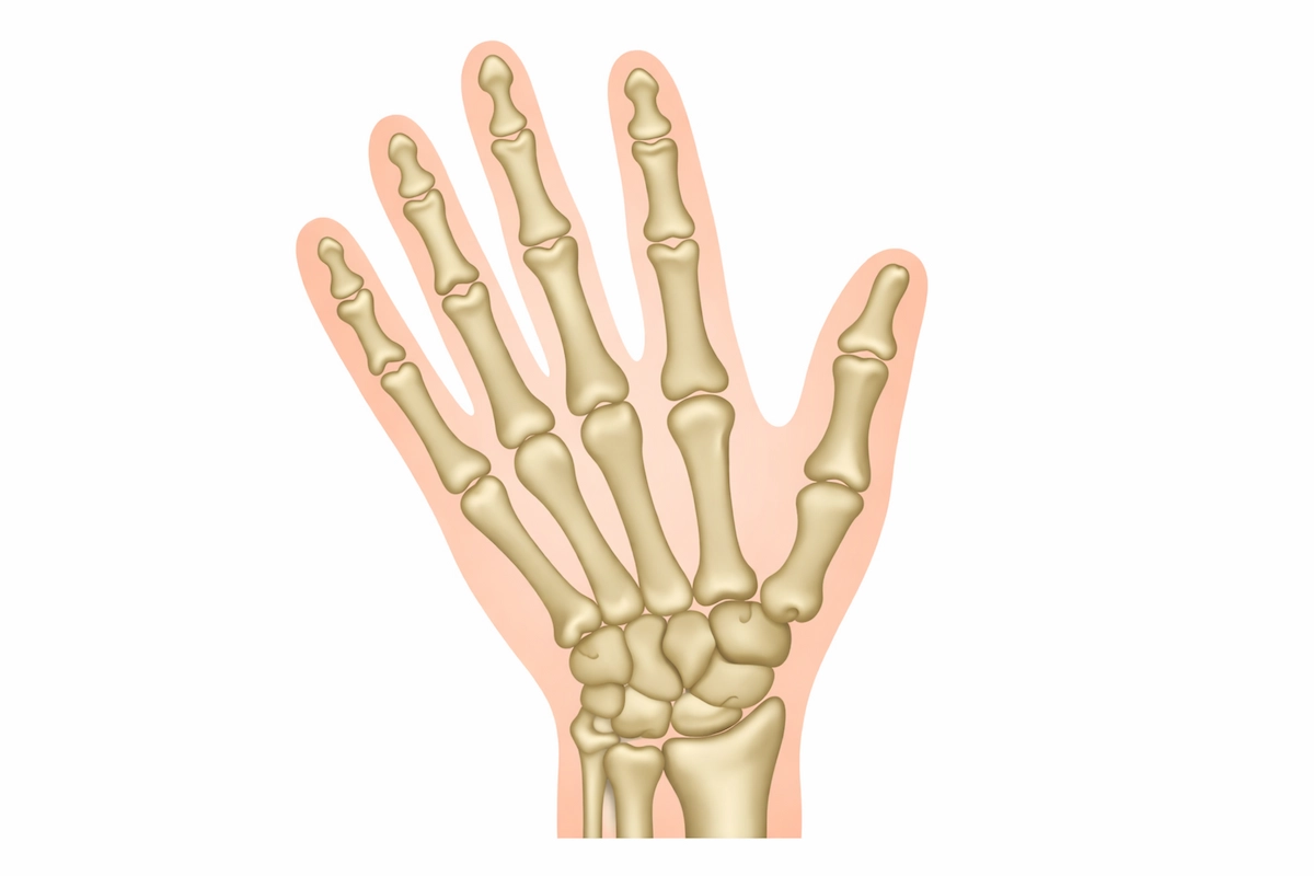 Landscape anatomical illustration of a human hand displaying detailed bone structure without labels, including fingers, palm, and wrist bones in a clean medical style.