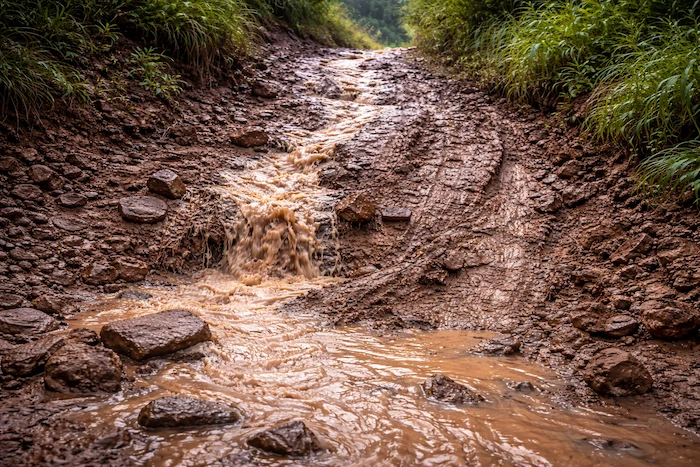 Muddy water flowing down a dirty, slippery path on a small hill, showing wet soil, rocks, and deep tracks after rain.